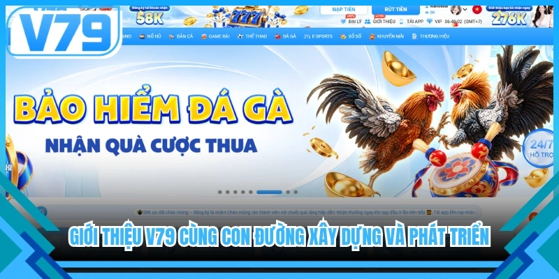 Giới thiệu V79 cùng con đường xây dựng và phát triển