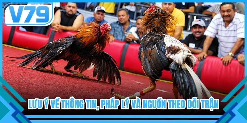 Lưu ý về thông tin, pháp lý và nguồn theo dõi trận