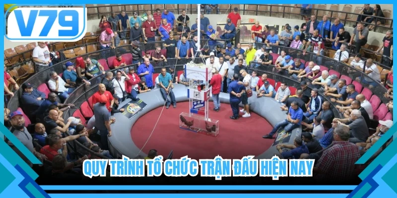 Quy trình tổ chức trận đấu hiện nay