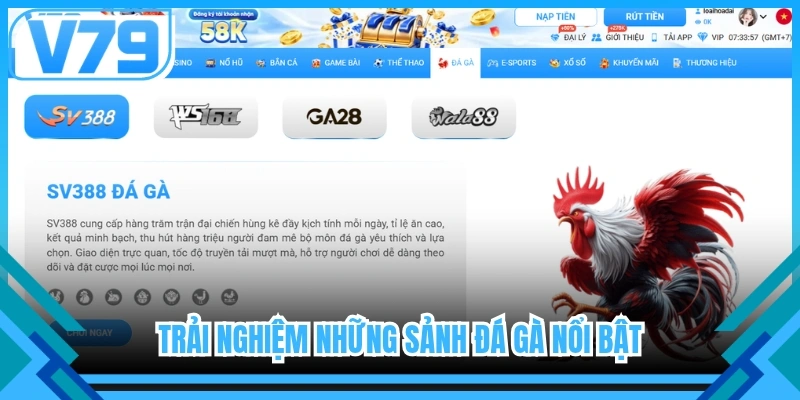 Trải nghiệm những sảnh đá gà nổi bật