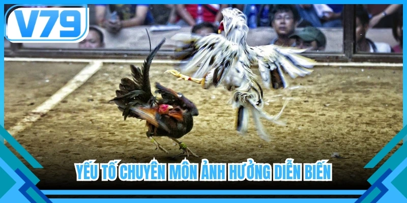 Yếu tố chuyên môn ảnh hưởng diễn biến 